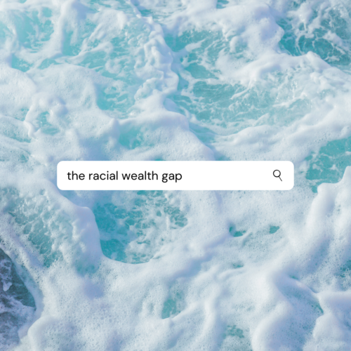 google search of the racial wealth gap